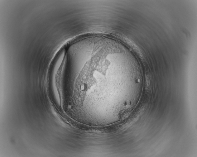 X0000111030580200907161326