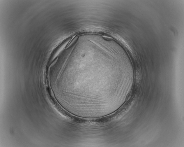 X0000111030581200907161326