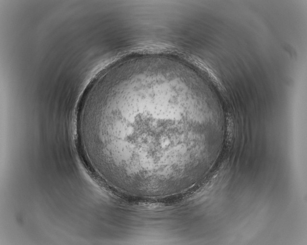 X0000111030582200907161326