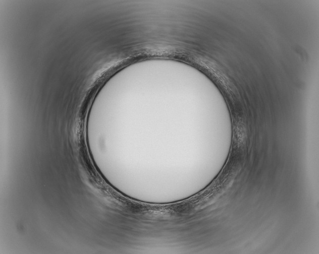 X0000111030583200907161326