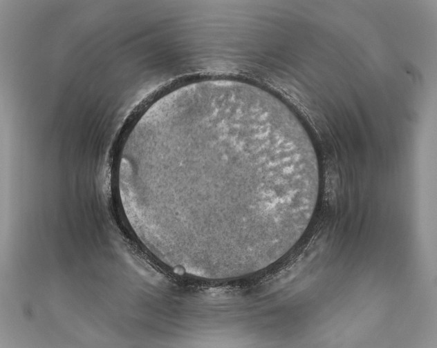 X0000111030584200907161326