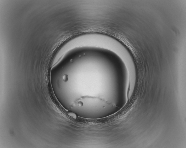 X0000111030585200907161326