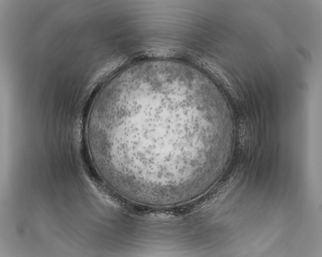 X0000111030586200907161326