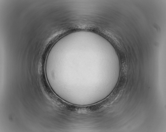 X0000111030587200907161326