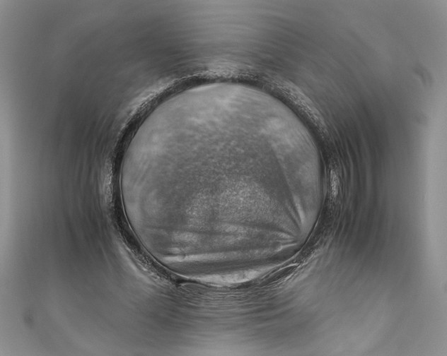 X0000111030588200907161326