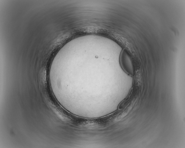 X0000111030589200907161326