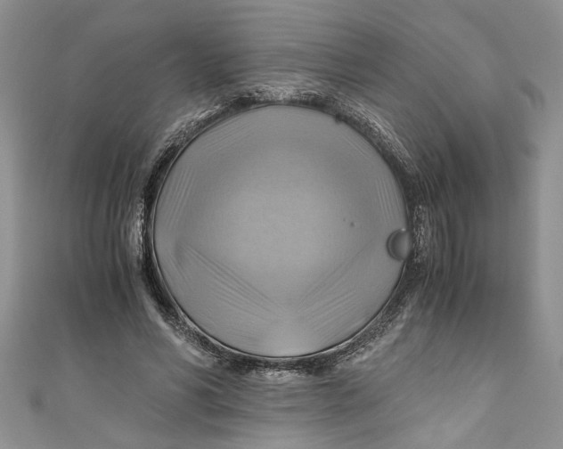 X0000111030590200907161326