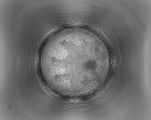 X0000111030591200907161326