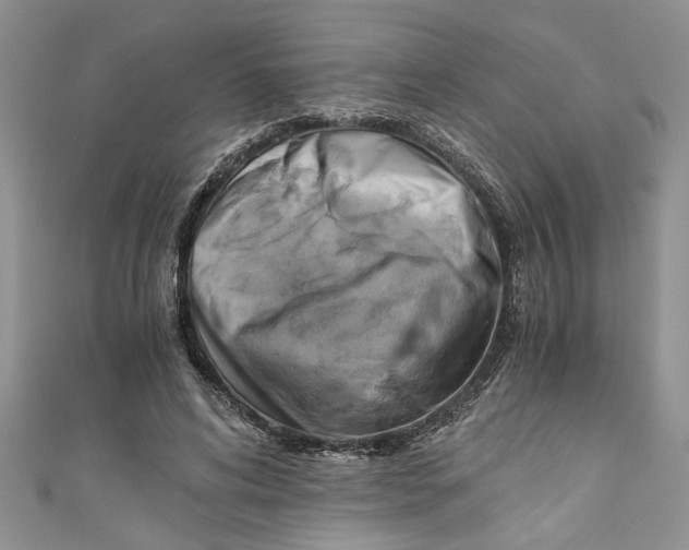 X0000111030592200907161326