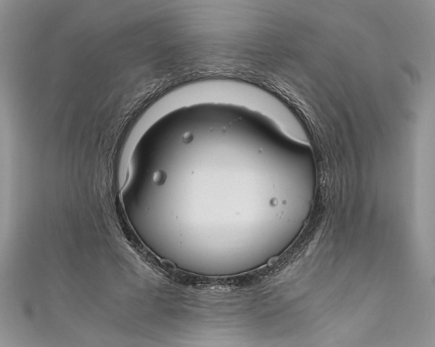 X0000111030593200907161326