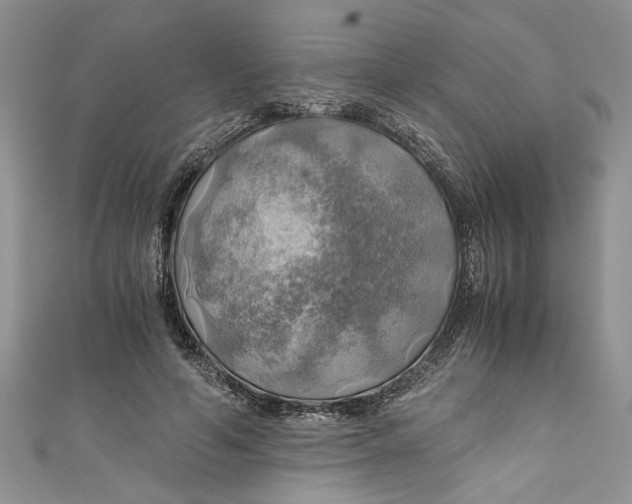 X0000111030594200907161326