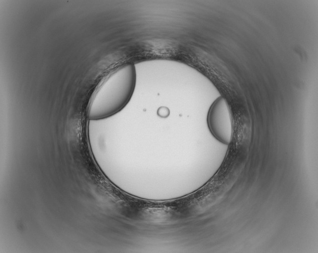 X0000111030595200907161326