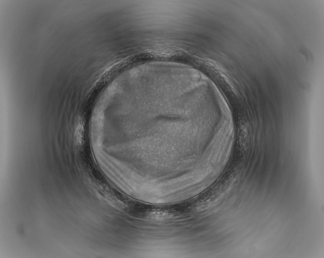 X0000111030596200907161326