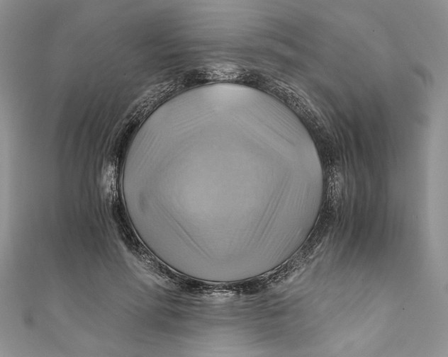 X0000111030598200907161326