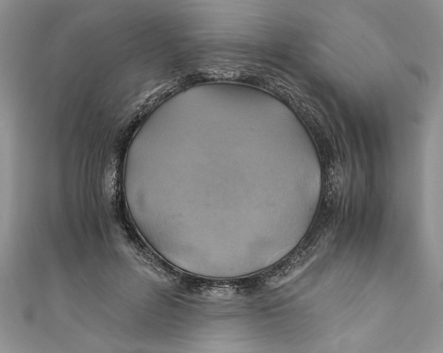 X0000111030600200907161326