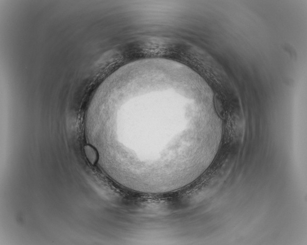 X0000111030601200907161326