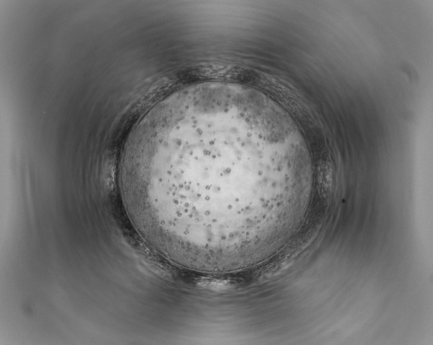 X0000111030602200907161326