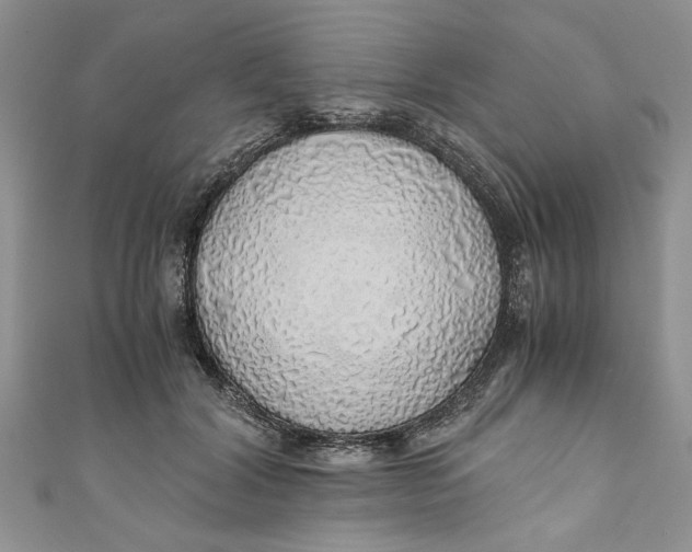 X0000111030604200907161326