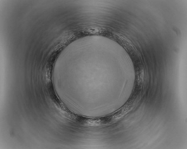 X0000111030606200907161326