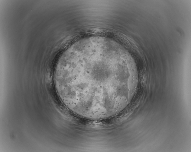 X0000111030607200907161326