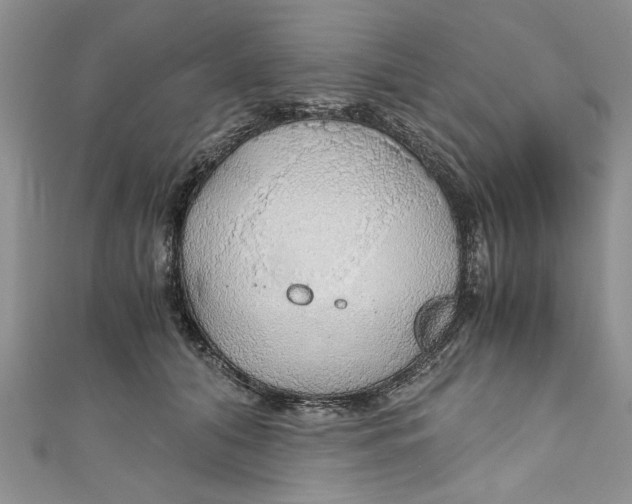 X0000111030608200907161326