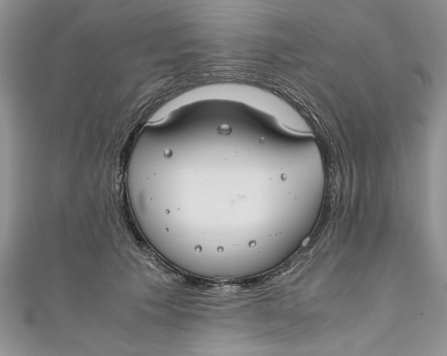 X0000111030609200907161326