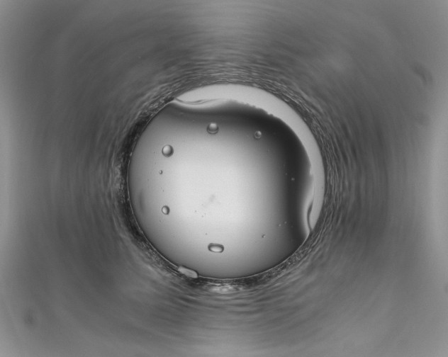 X0000111030611200907161326