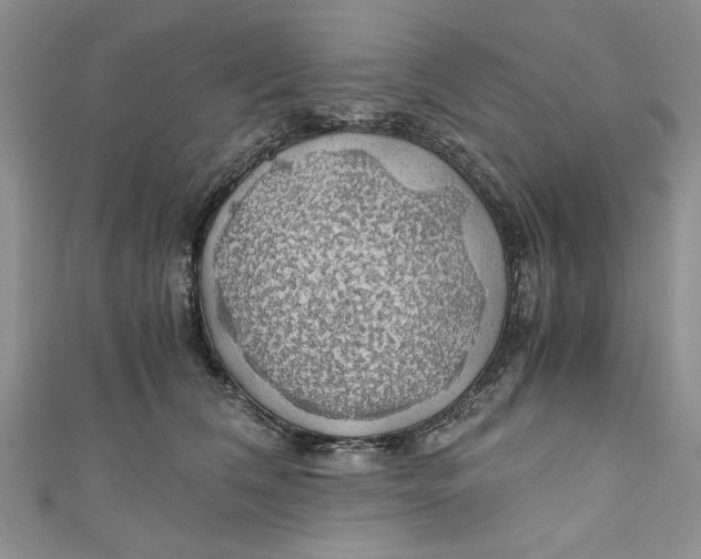 X0000111030612200907161326