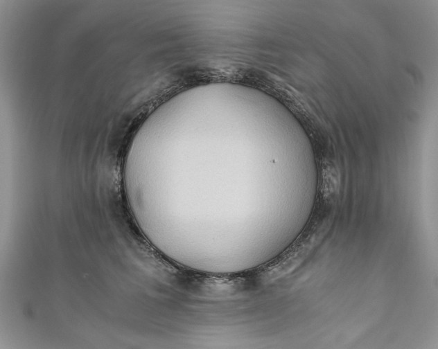 X0000111030613200907161326