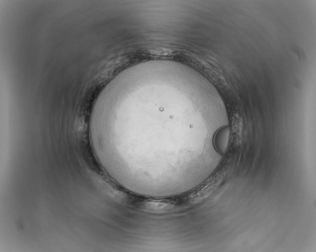 X0000111030614200907161326