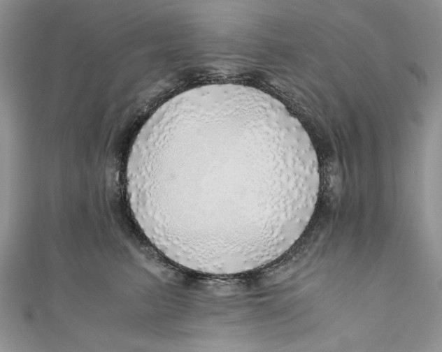 X0000111030615200907161326