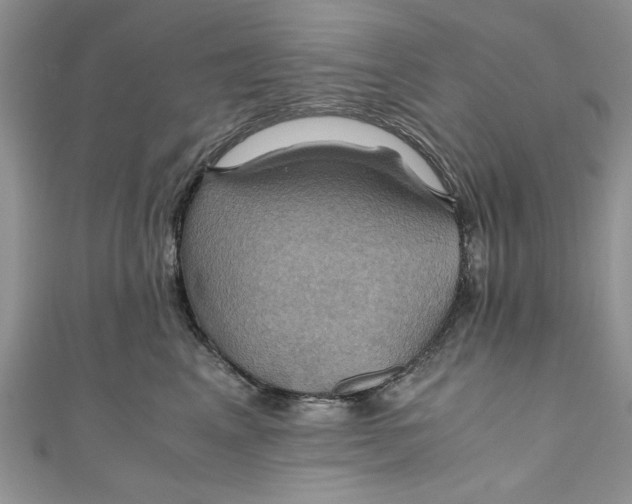 X0000111030617200907161326