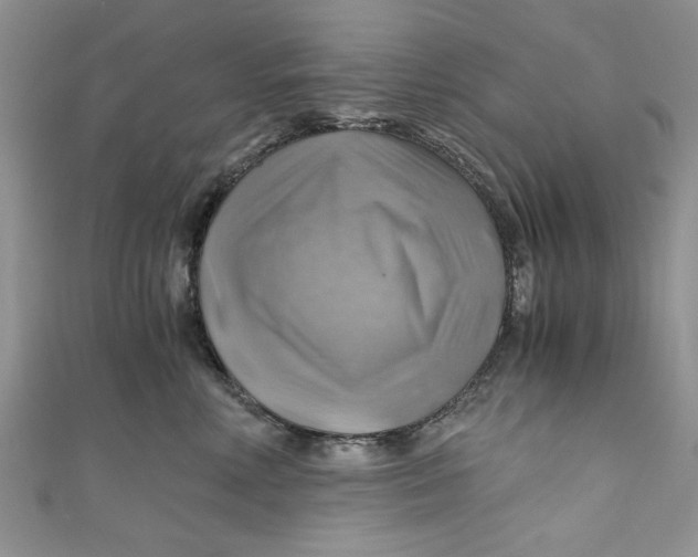 X0000111030618200907161326