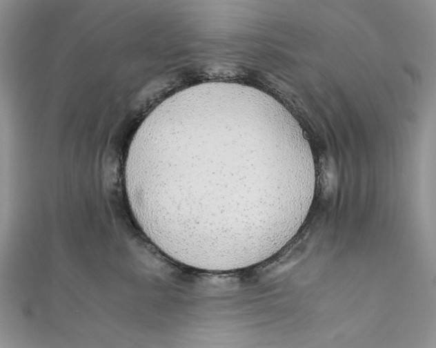 X0000111030619200907161326