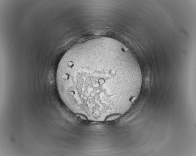 X0000111030620200907161326