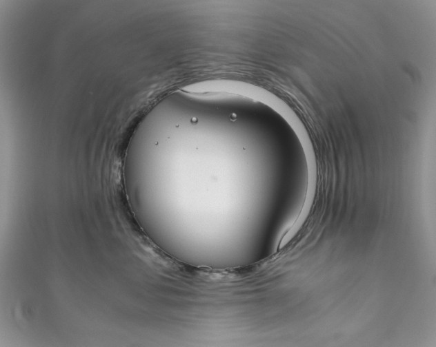 X0000111030621200907161326