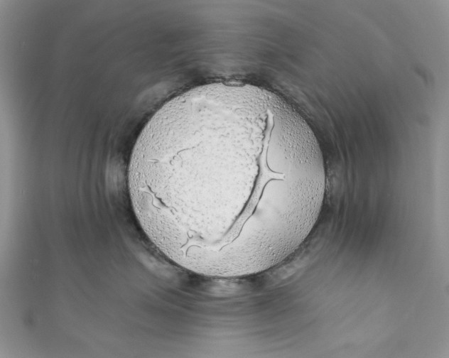 X0000111030623200907161326