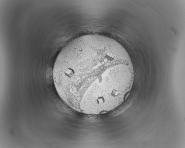 X0000111030624200907161326