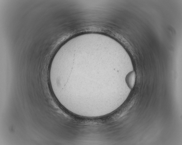 X0000111030625200907161325