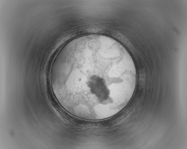 X0000111030626200907161325