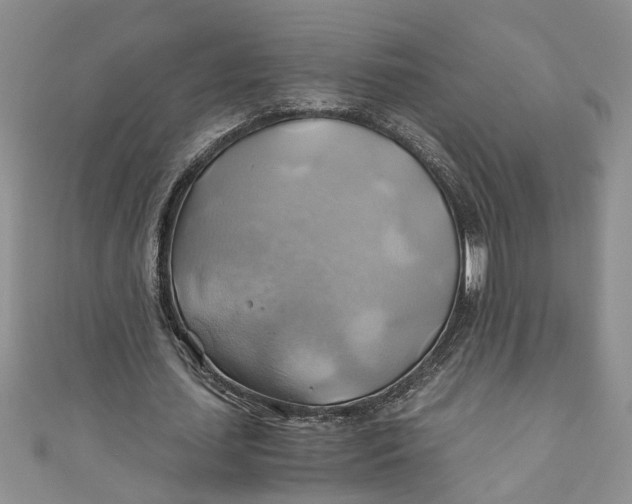 X0000111030627200907161325