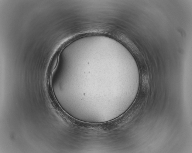 X0000111030628200907161325