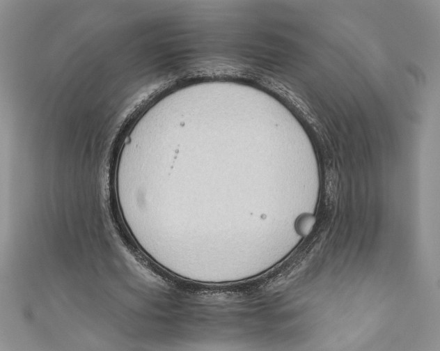 X0000111030629200907161325