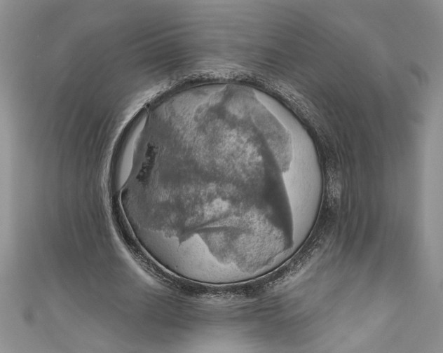 X0000111030630200907161325