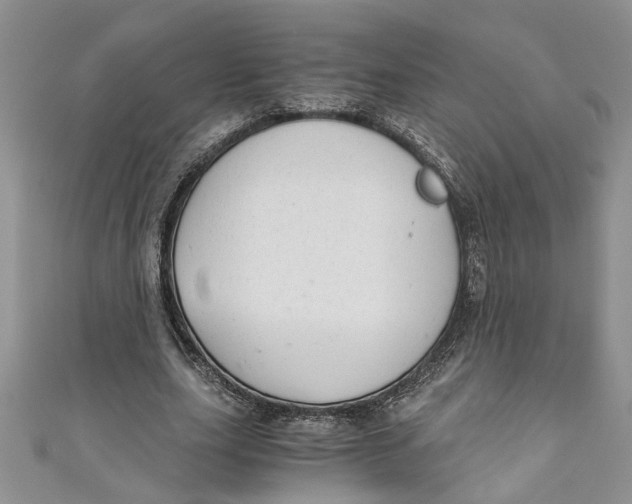 X0000111030631200907161325