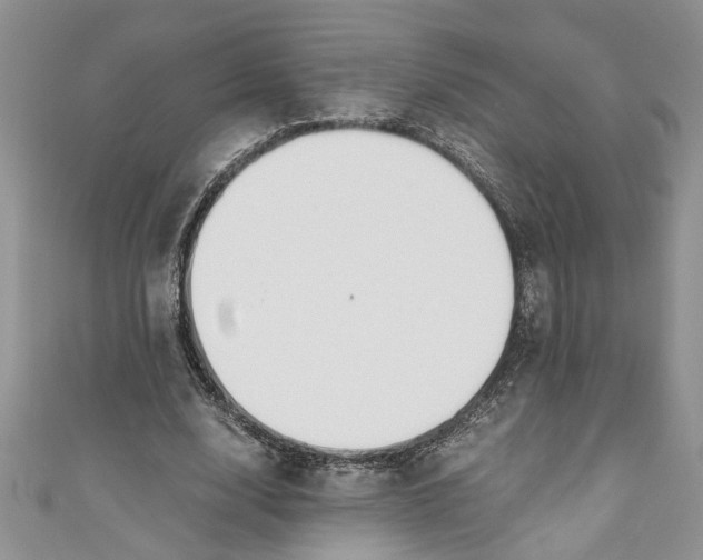 X0000111030632200907161325