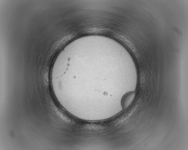 X0000111030633200907161325