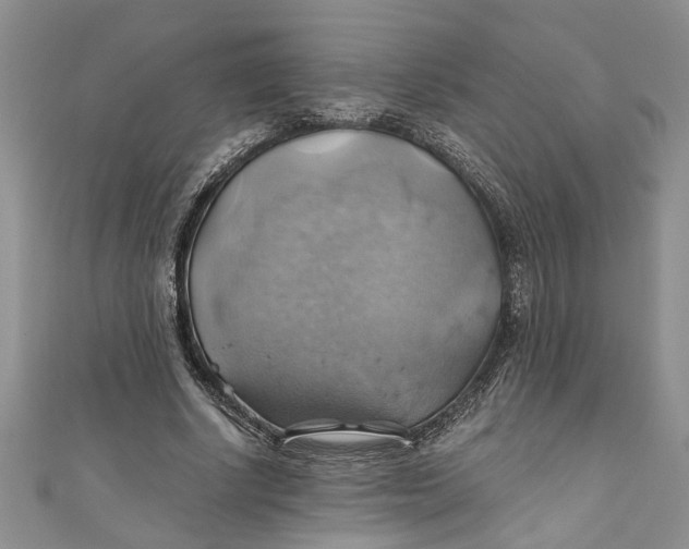 X0000111030634200907161325