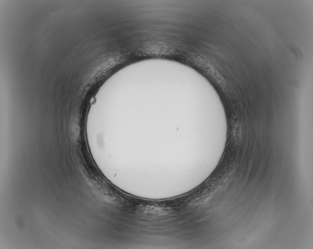 X0000111030635200907161325