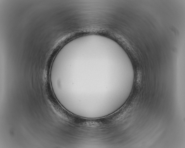 X0000111030636200907161325